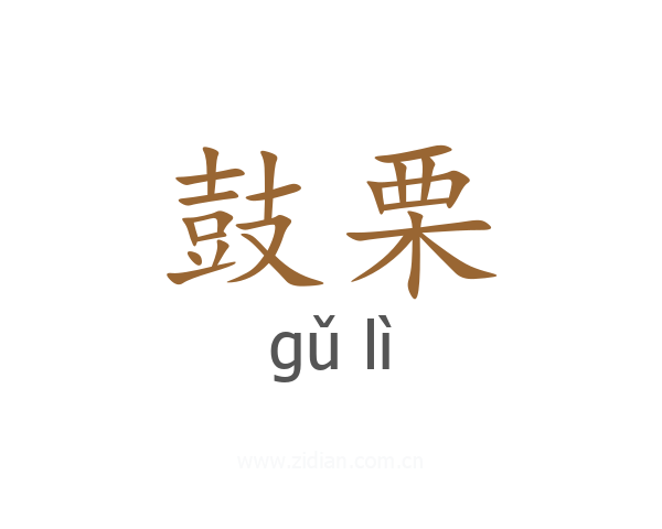 鼓栗