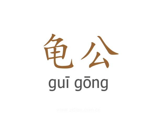 龟公