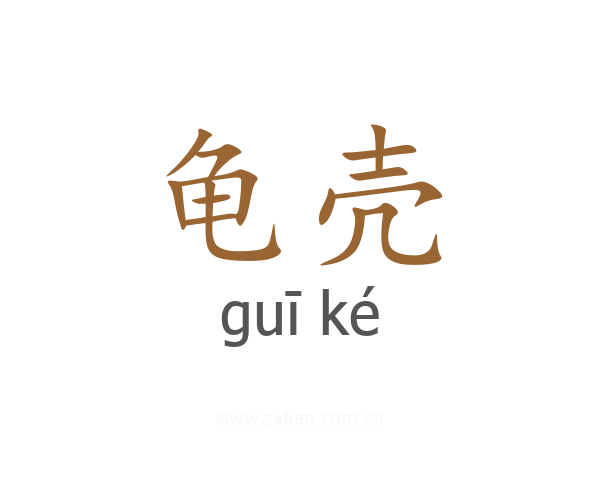 龟壳
