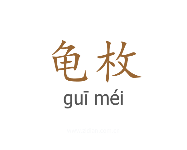 龟枚