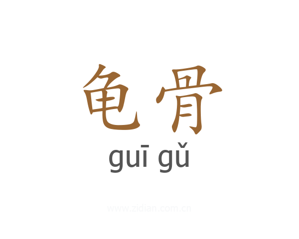 龟骨