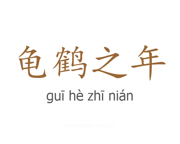 龟鹤之年