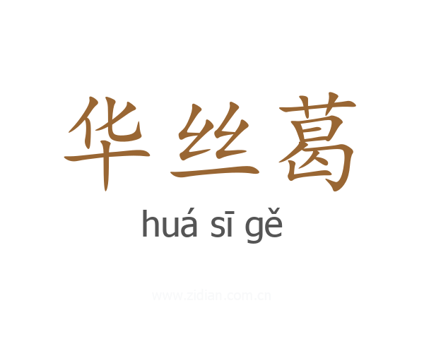 华丝葛