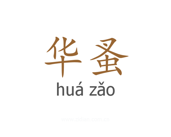 华蚤