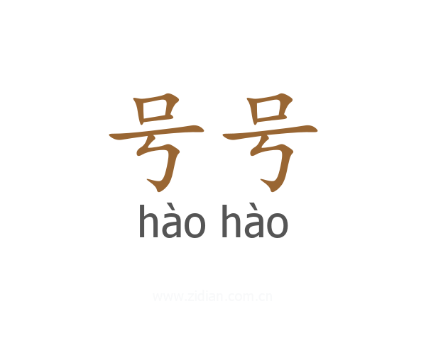 号号