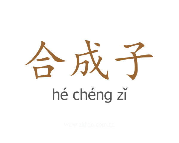 合成子