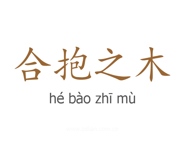 合抱之木