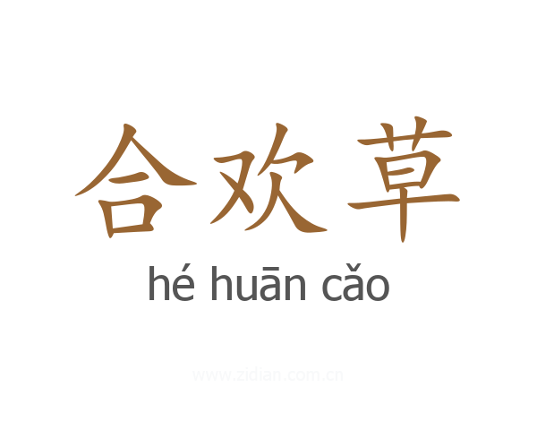 合欢草