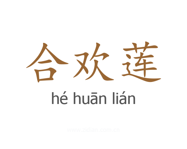 合欢莲