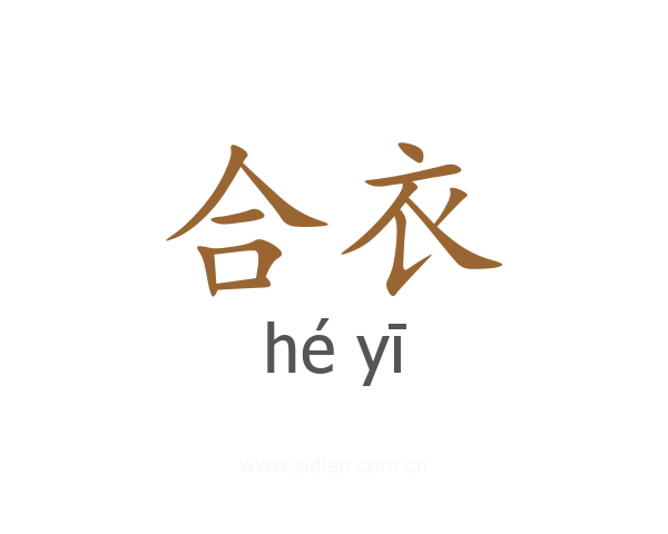 合衣