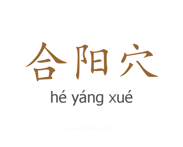 合阳穴