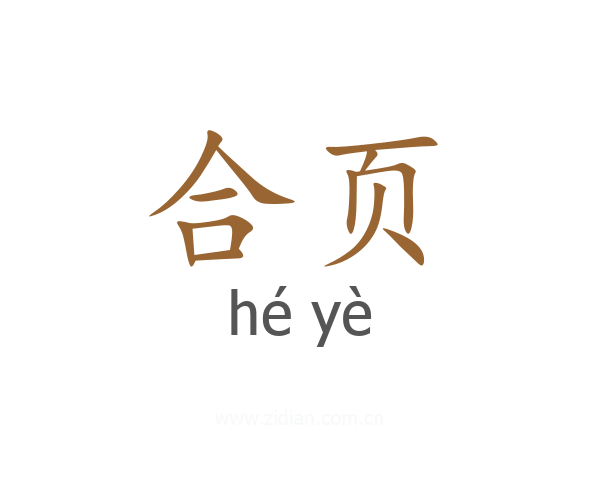 合页