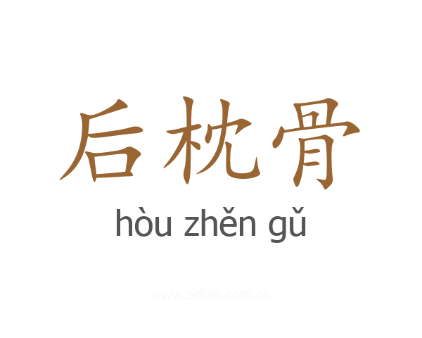 后枕骨
