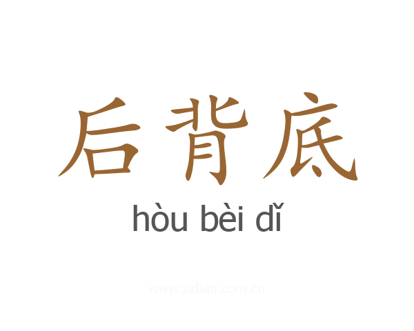 后背底