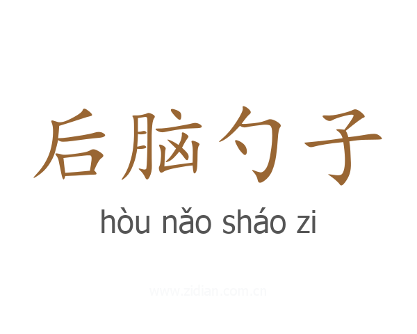 后脑勺子