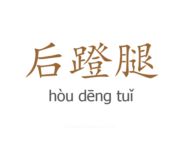 后蹬腿