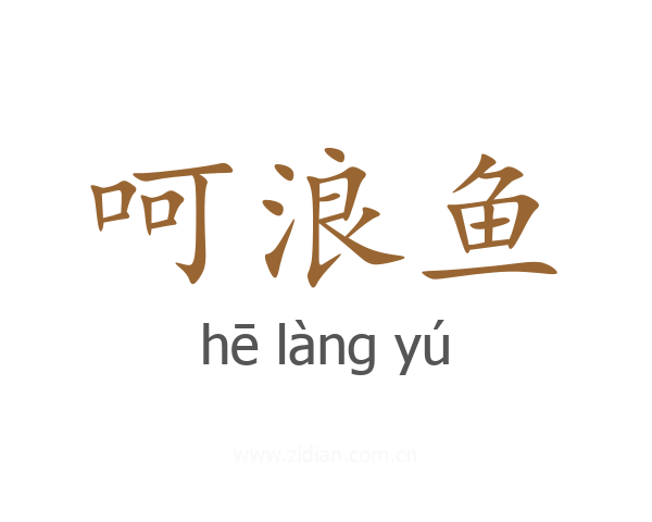 呵浪鱼