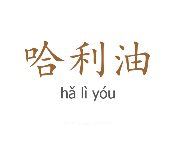 哈利油