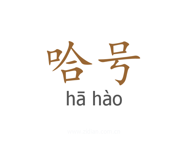 哈号