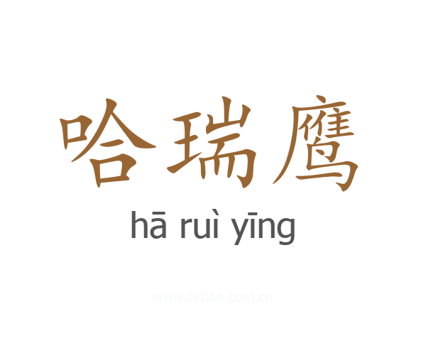 哈瑞鹰