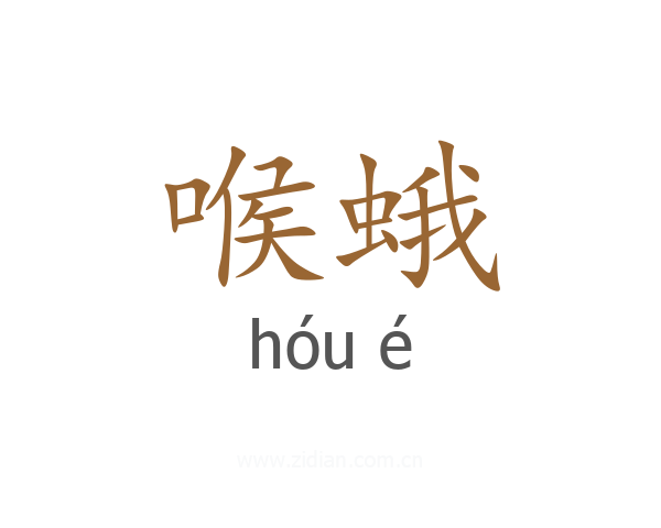 喉蛾