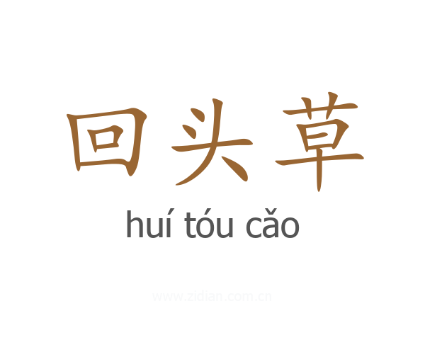 回头草