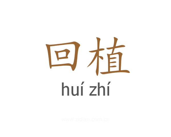 回植