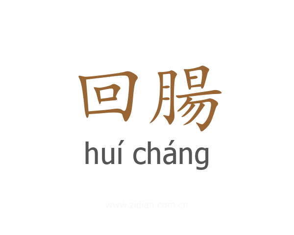 回腸
