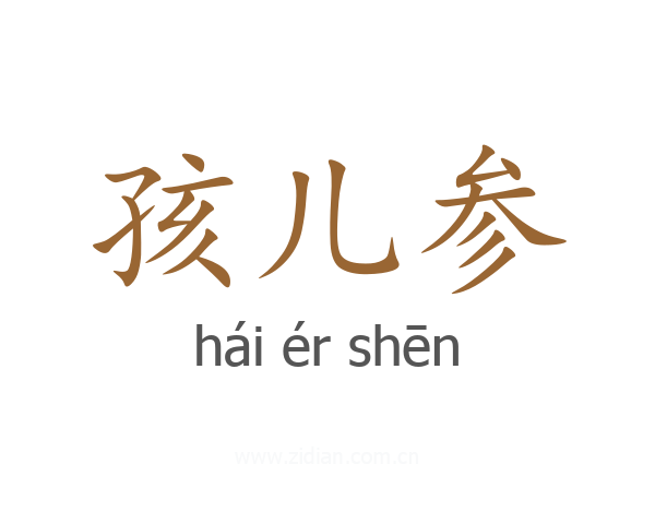 孩儿参