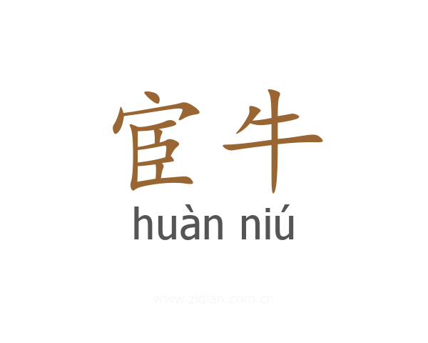 宦牛