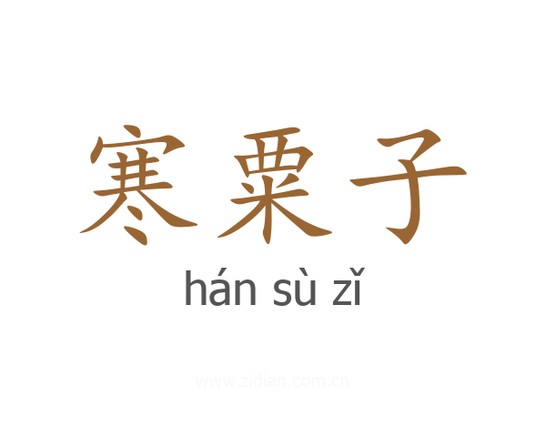 寒粟子