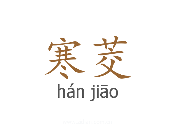 寒茭