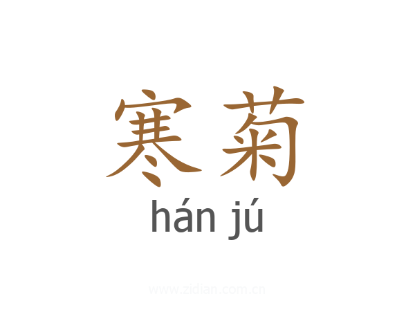寒菊