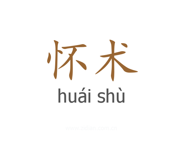 怀术