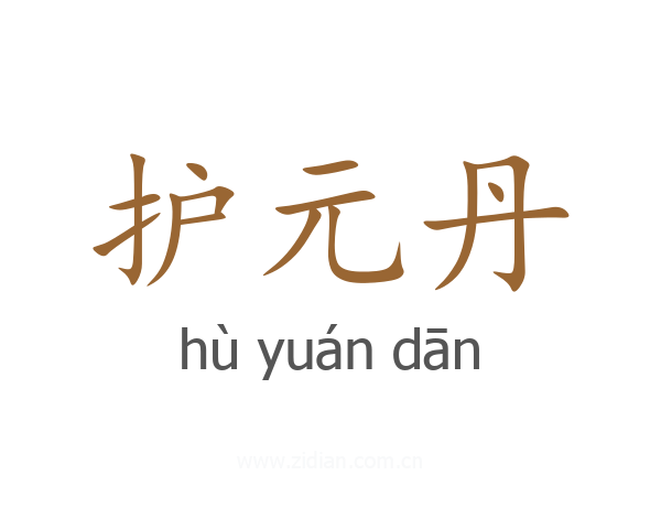 护元丹