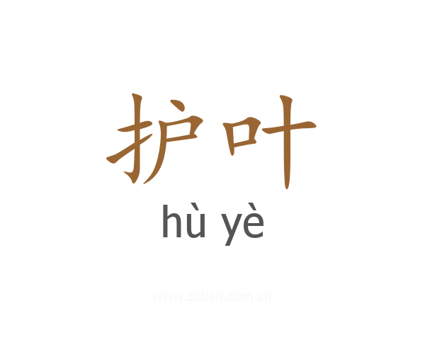 护叶