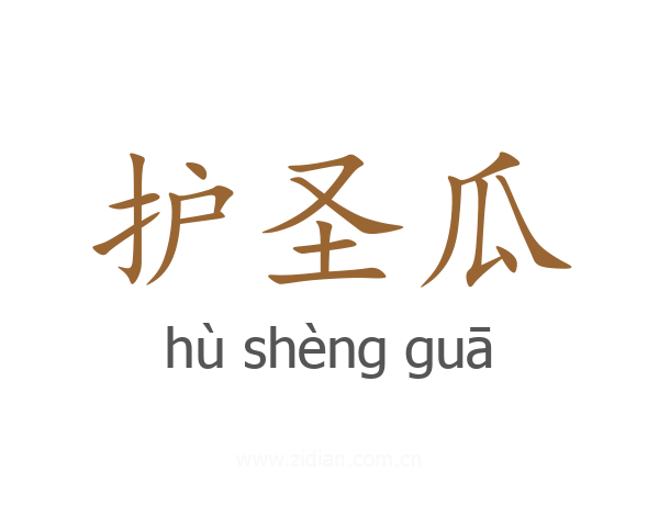 护圣瓜