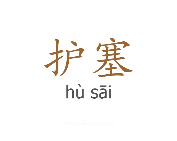 护塞