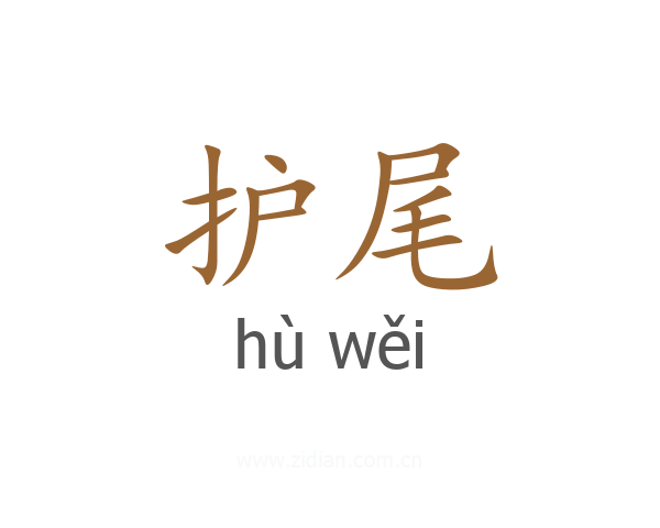 护尾