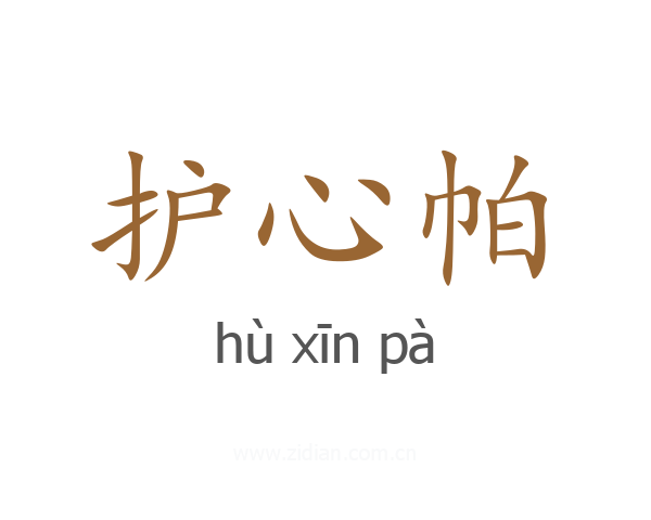 护心帕