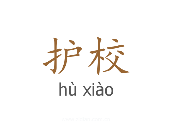 护校