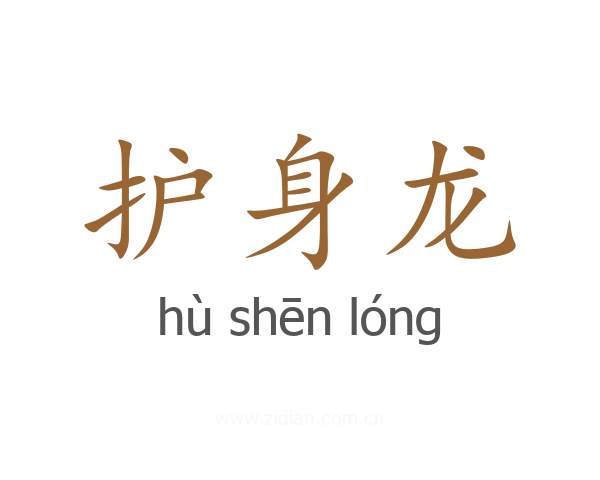 护身龙