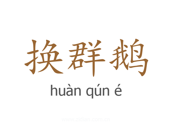 换群鹅