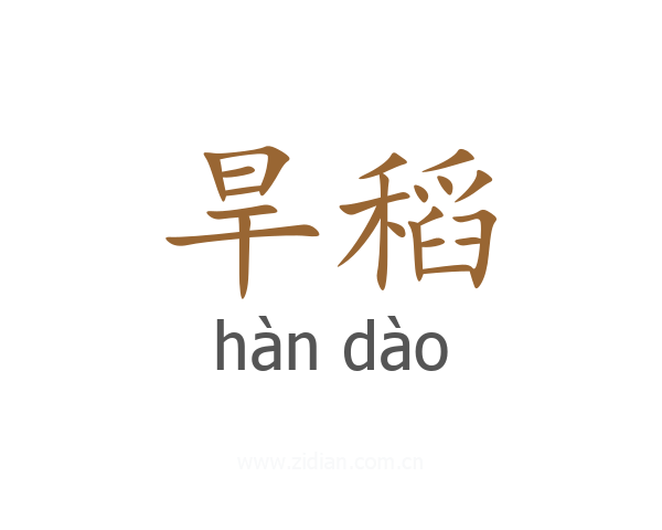 旱稻