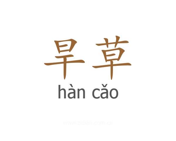 旱草