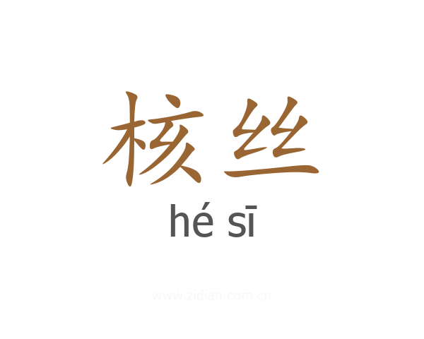 核丝