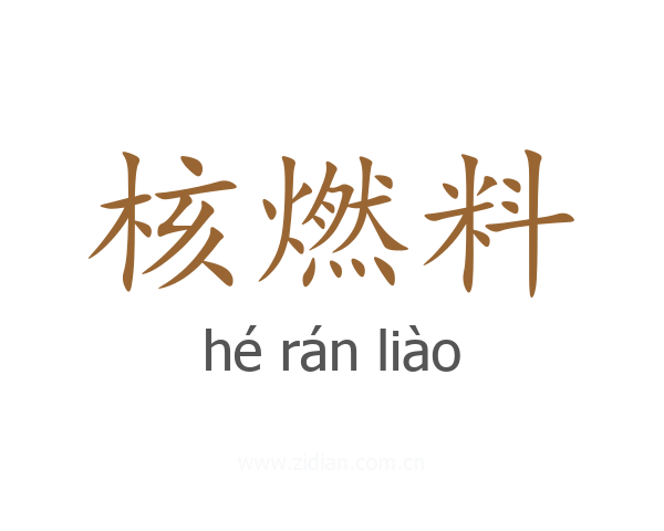 核燃料