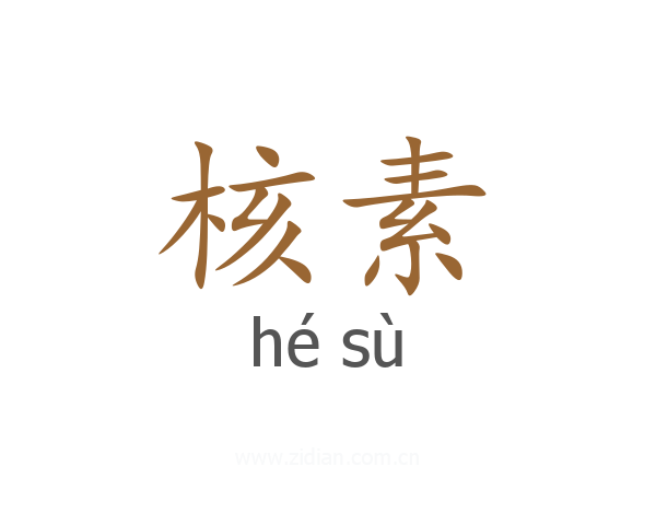 核素
