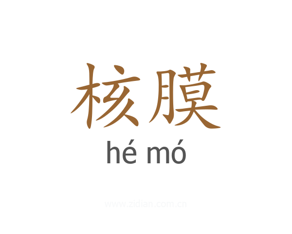 核膜