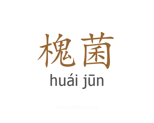 槐菌